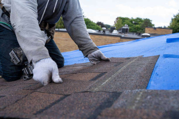 Best Roof Gutter Cleaning  in Dranesville, VA