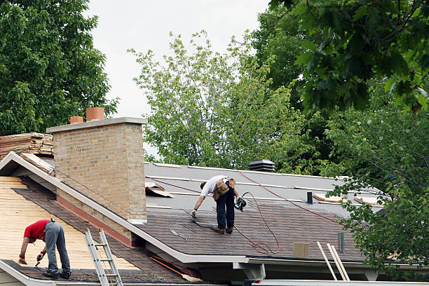 Best Roof Maintenance Services  in Dranesville, VA
