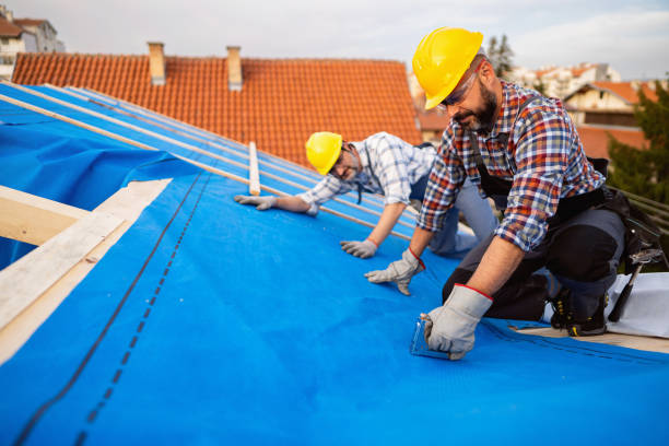 Best Roof Leak Repair  in Dranesville, VA